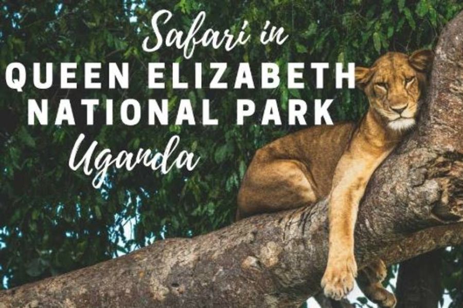 Queen_Elizabeth_National_Park_Safari | WiseYatra